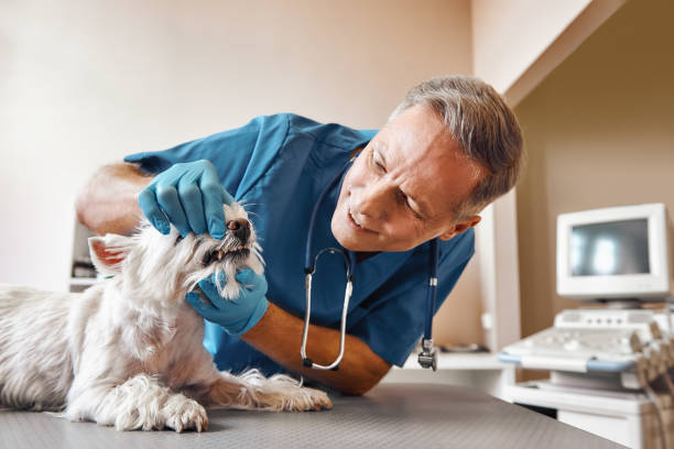 Best After-Hours Dental Care in Rio Vista, TX